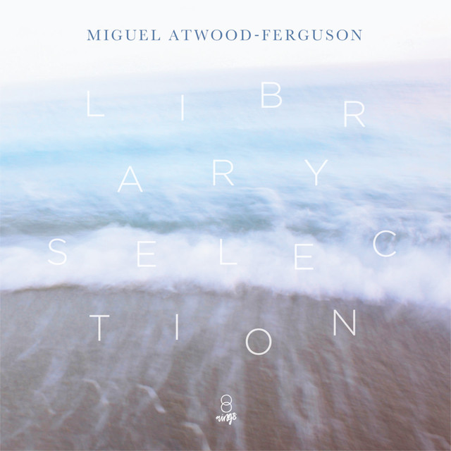 Miguel Atwood-Ferguson