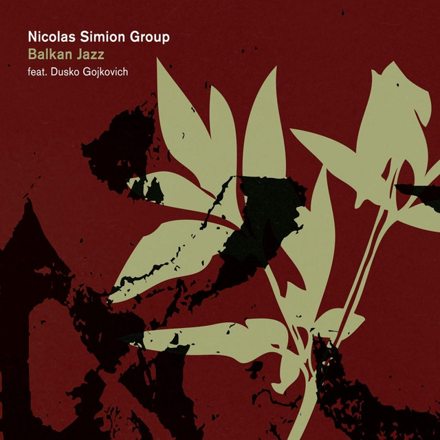 Nicolas Simion Group