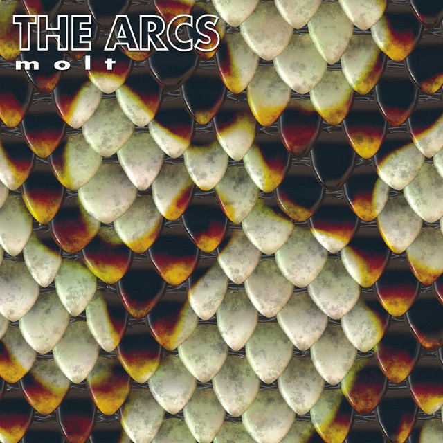 The Arcs