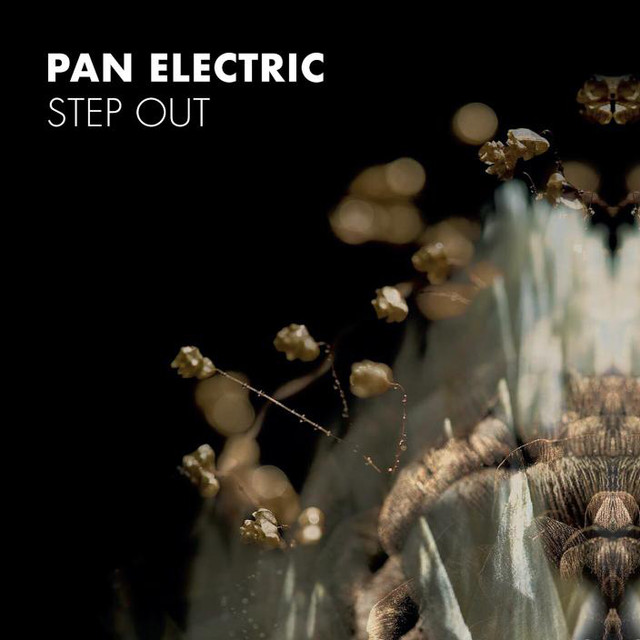 Pan Electric