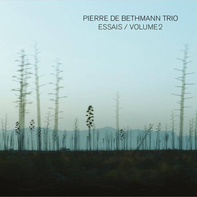 Pierre de Bethmann Trio