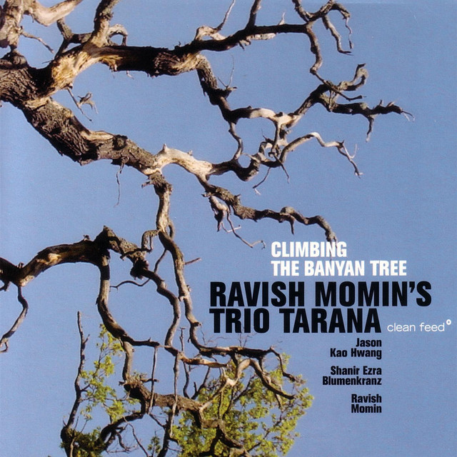 Ravish Momin's Trio Tarana