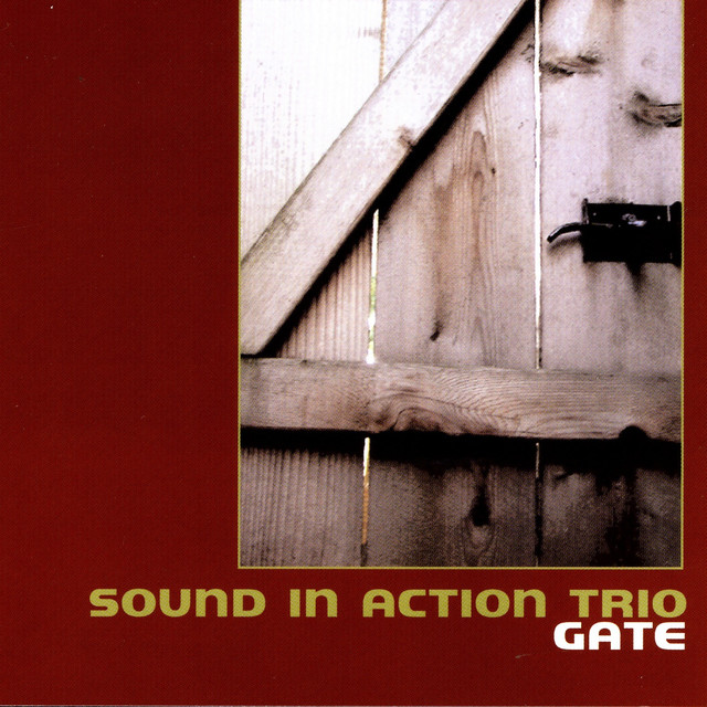 Sound In Action Trio
