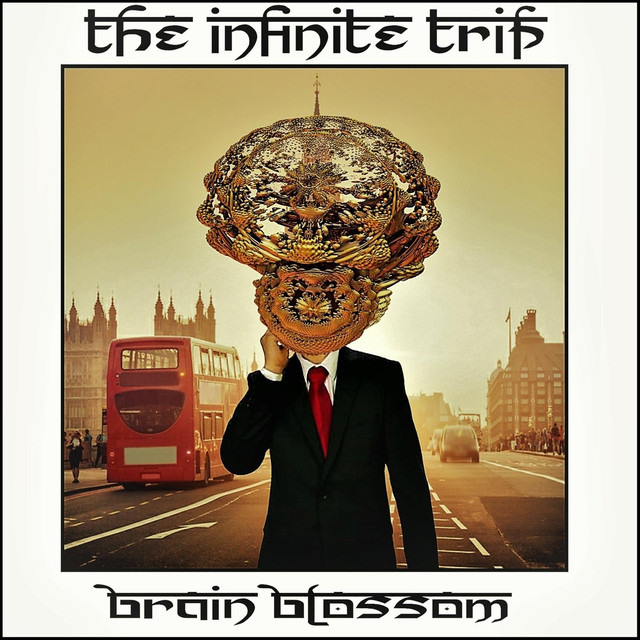 The Infinite Trip