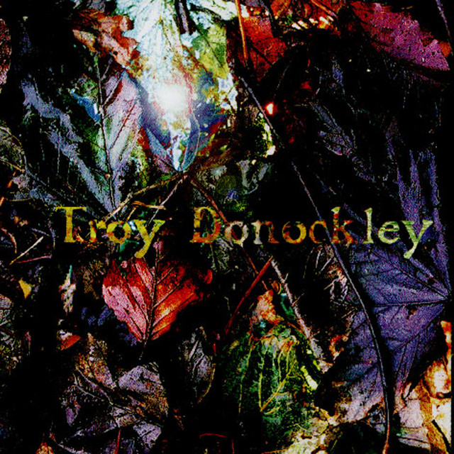 Troy Donockley