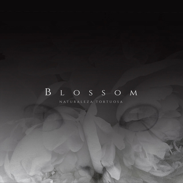 Blossom