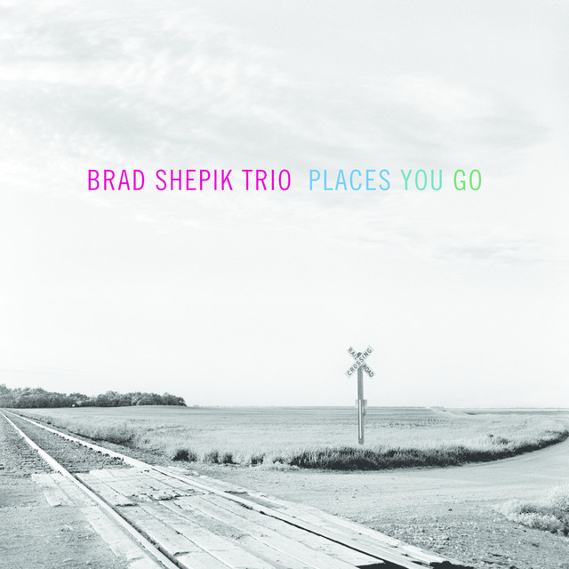 Brad Shepik Trio