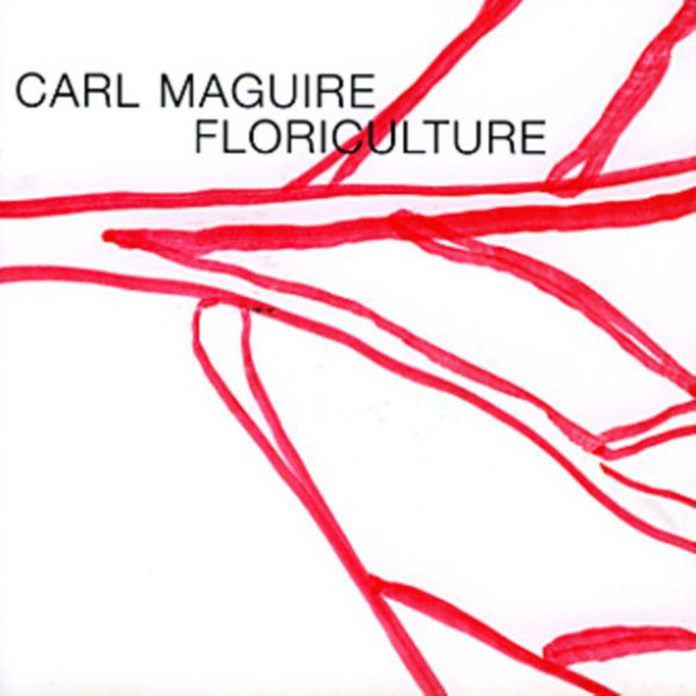 Carl Maguire
