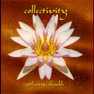 Collectivity