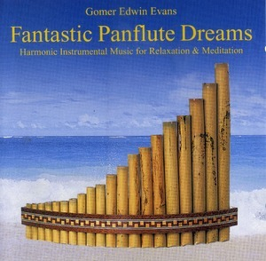 Fantastic Panflute Dreams