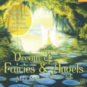 Dream Of Fairies & Angels