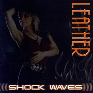 Shock Waves