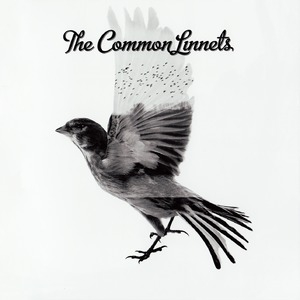 The Common Linnets