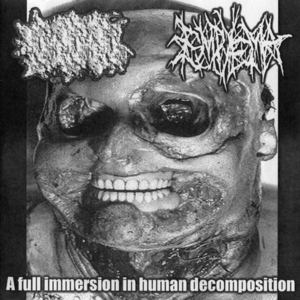 A Full Immersion In Human Decomposition