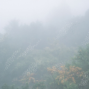 Mist (2CD)