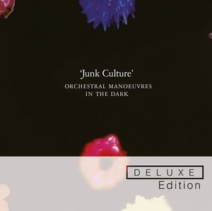 Junk Culture