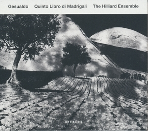 Gesualdo - Quinto Libro Di Madrigali