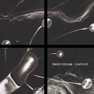 Camphor (bonus Cd)