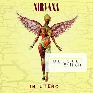 In Utero (20th Anniversary)