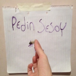 Pedin Sesoy