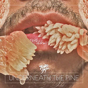 Underneath The Pine (Korean Edition)