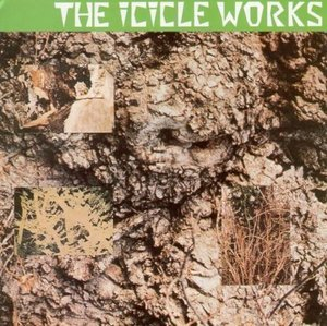 The Icicle Works