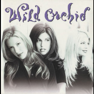 Wild Orchid