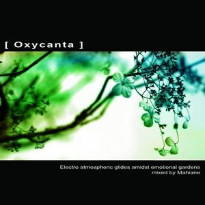 Oxycanta