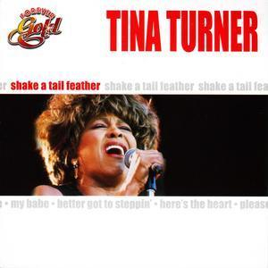 Forever Gold: Tina Turner - Shake A Tail Feather