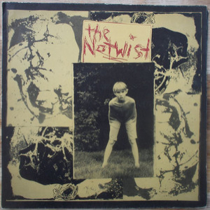 The Notwist