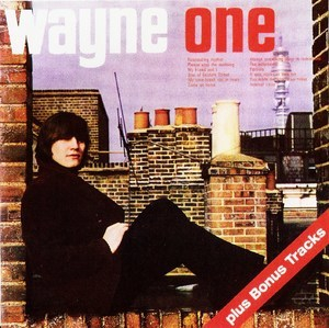 Wayne One