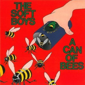 A Can Of Bees