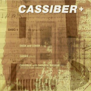 Cassiber+ : Collaborations
