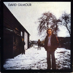 David Gilmour (Vinyl)