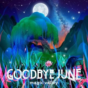 Magic Valley