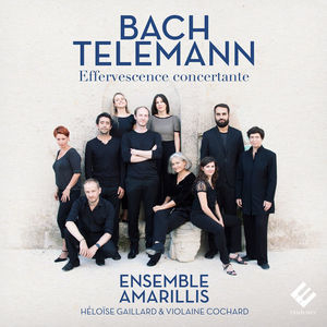 Bach & Telemann: Effervescence Concertante (Hi-Res)