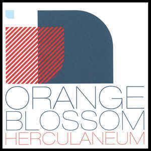 Orange Blossom