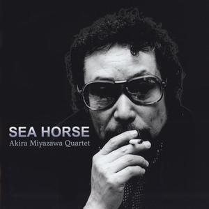 Sea Horse