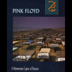 A Momentary Lapse Of Reason