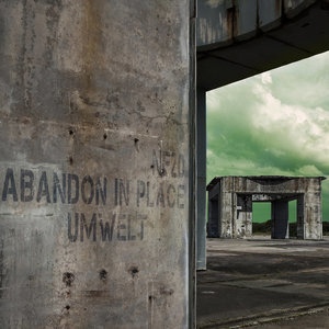 Abandon In Place LP
