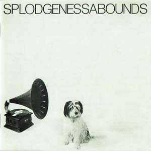 Splodgenessabounds