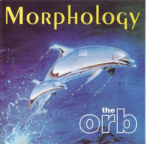 Morphology