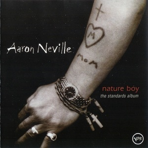 Nature Boy: The Standards Album