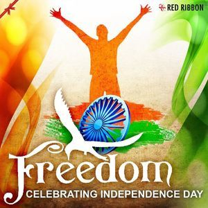 Freedom Celebrating Independence Day