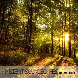 Ambient Soundscapes, Vol. 15