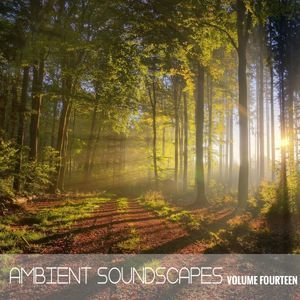 Ambient Soundscapes, Vol. 14