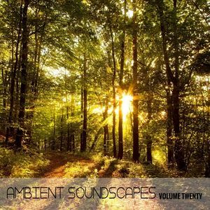 Ambient Soundscapes. Vol. 20