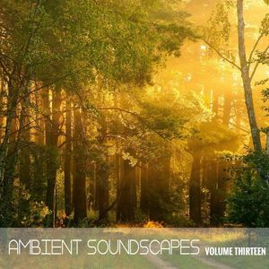 Ambient Soundscapes, Vol. 13