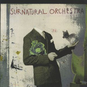 Surnatural Orchestra