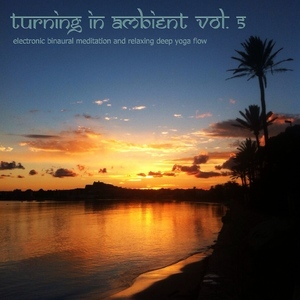 Turning In Ambient Vol. 5